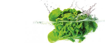 Washing & Checking Lettuce on Shabbos or Yom Tov