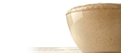 How Yeast Works